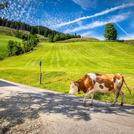 Bauernhaus Bichl Sankt Johann im Pongau Exteriör bild