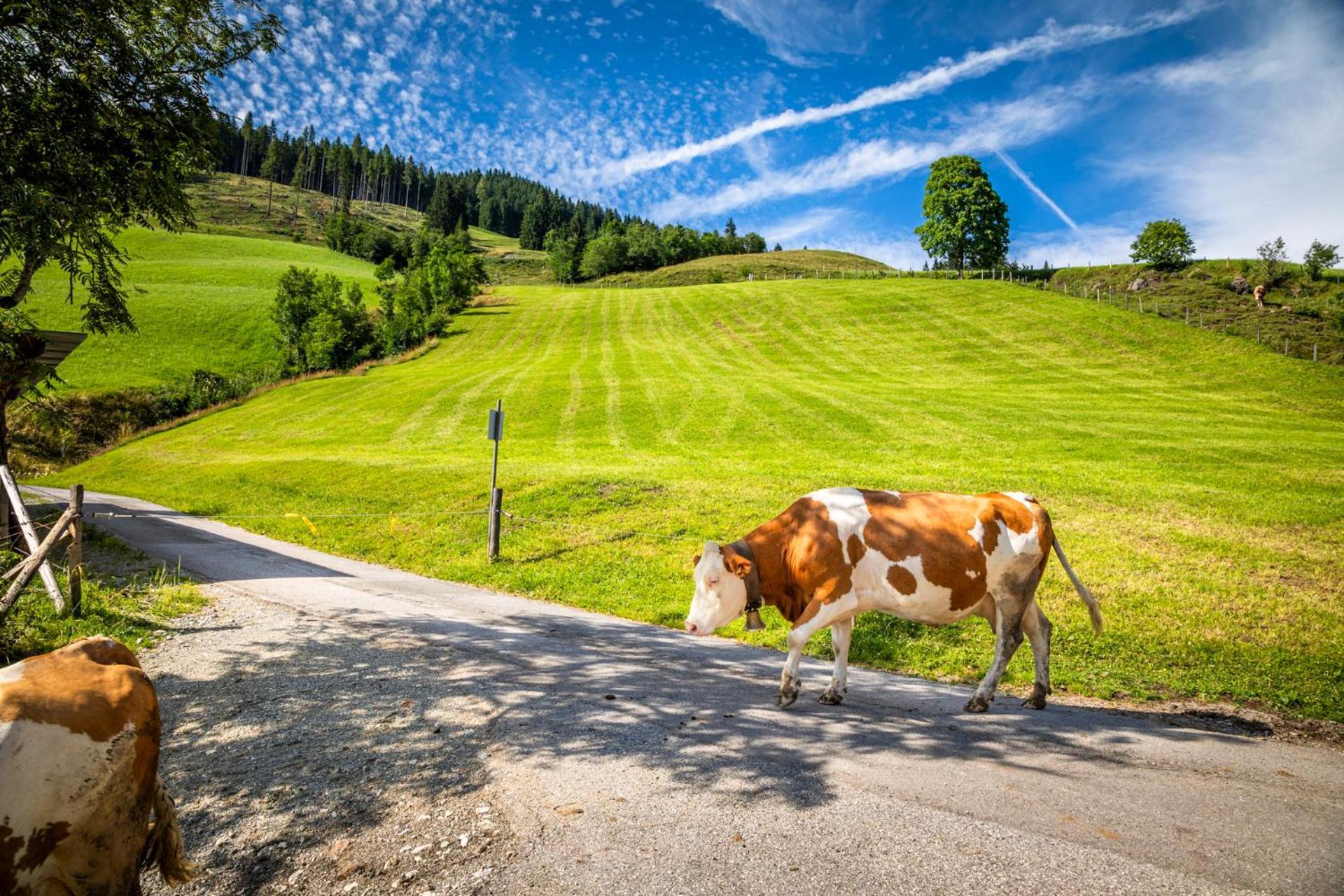 Bauernhaus Bichl Sankt Johann im Pongau Exteriör bild